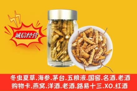 长沙望城区回收散虫草